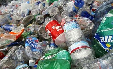 世界地球日 | 800万吨塑料垃圾,800个海洋物种,在海洋里的它们还好吗?